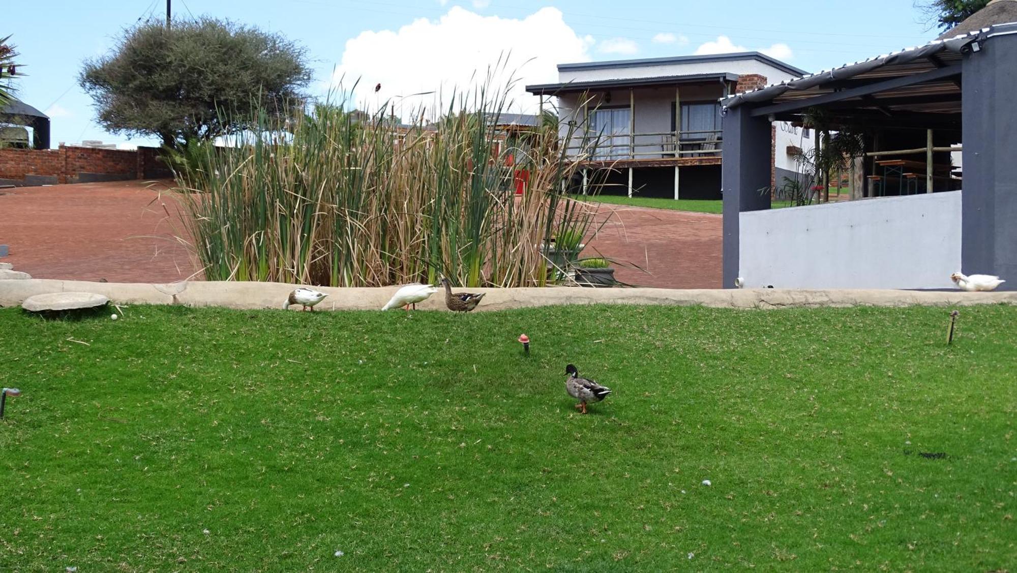 Eden Chalets Windhoek Exterior foto